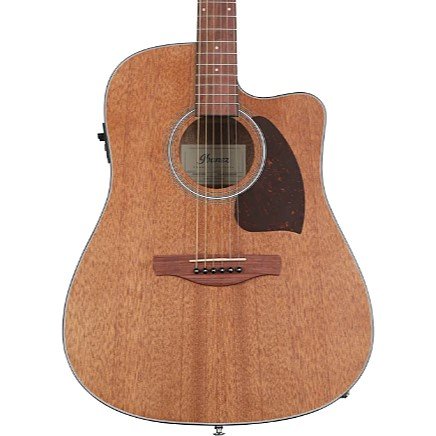 Ibanez PF54CE