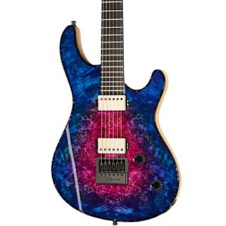 Mayones Guitars Regius 4EVER